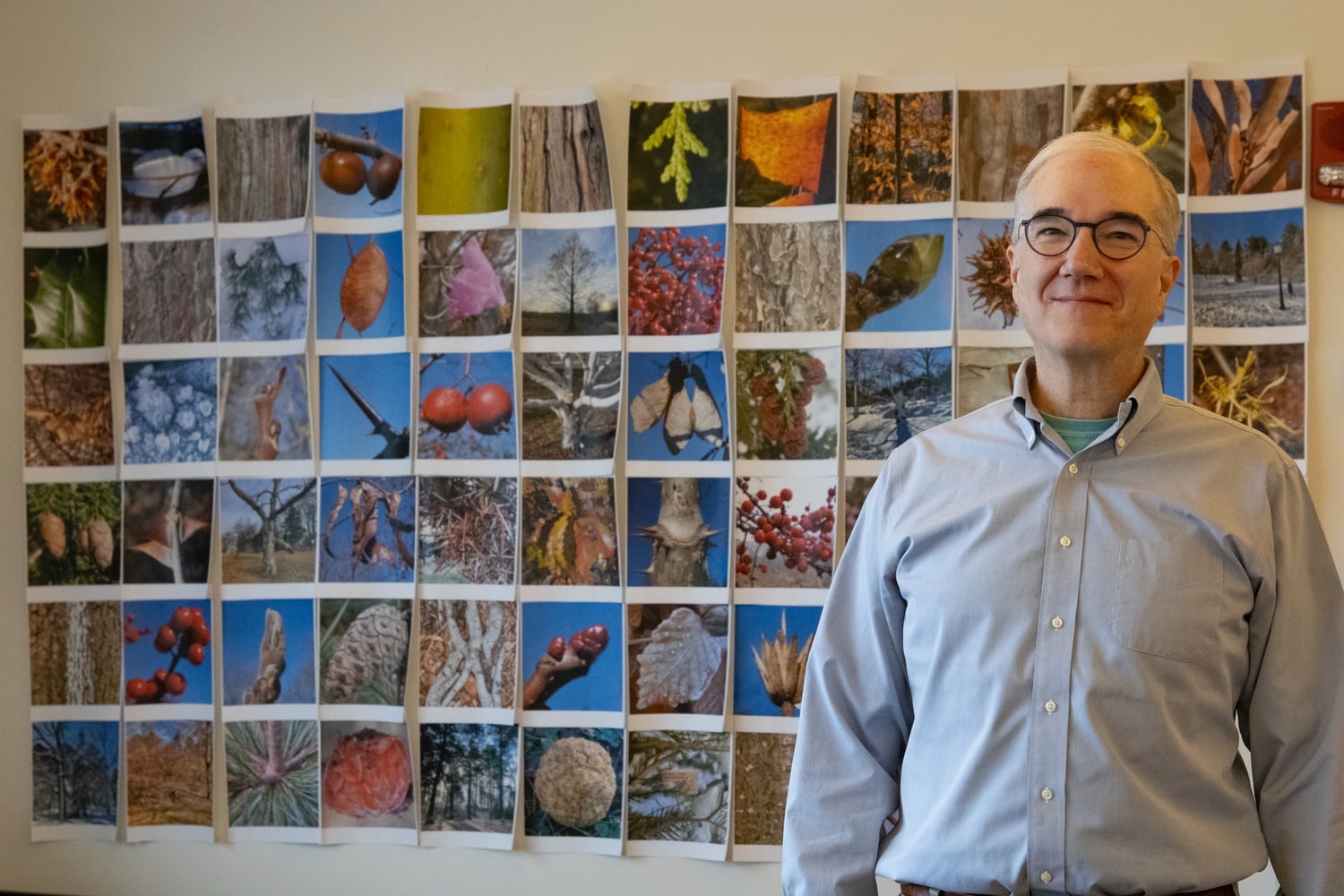 William “Ned” Friedman is the Director of the Arnold Arboretum and a Professor of Organismic and Evolutionary Biology.