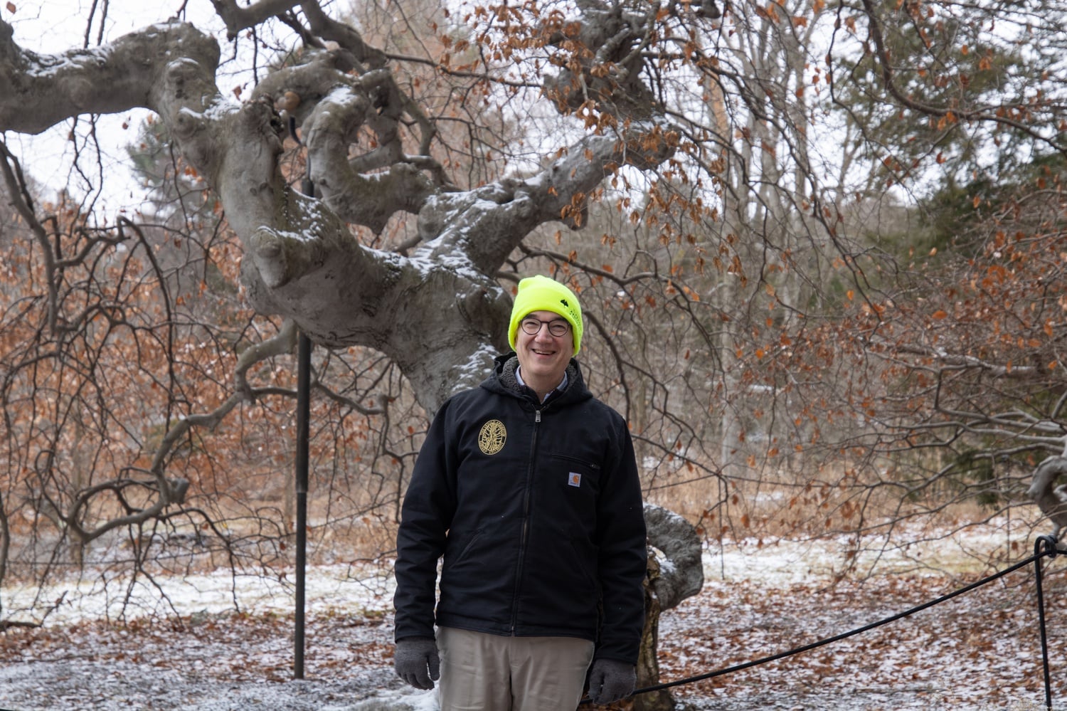 "It’s kind of a magical tree, and it’s a mutant tree, too," Friedman says.