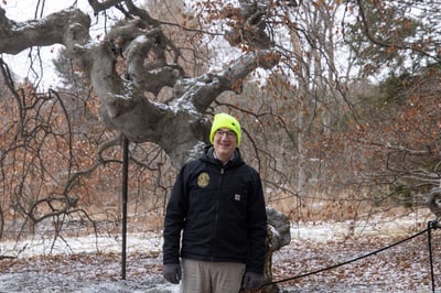 Cover image for Ned Friedman Tree Picture