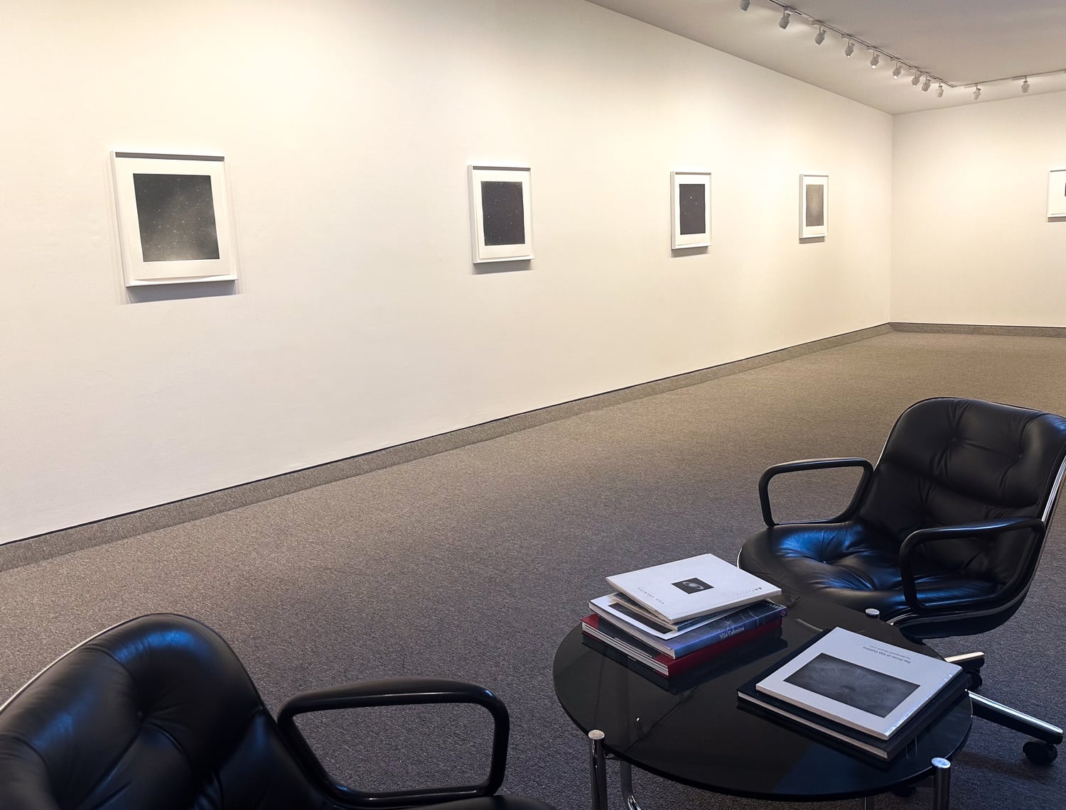 Vija Celmins's "Night Skies" at the Krakow Witkin Gallery.