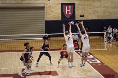 Cover image for Volleyball Posts Mixed Performance Against Princeton