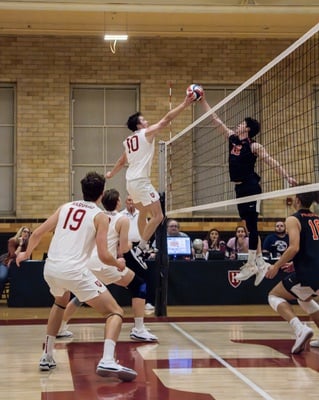 Cover image for Harvard Sweeps No. 17 Penn State in Season’s First Conference Match-Up