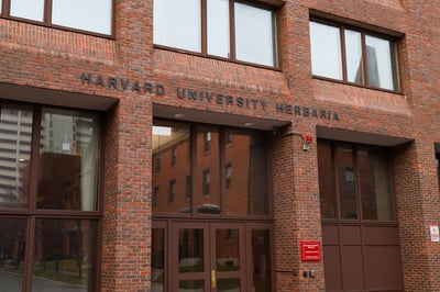 Cover image for Luxury Brands Will Fund Harvard Lab’s Medicinal Plant Research in 3-Year Agreement