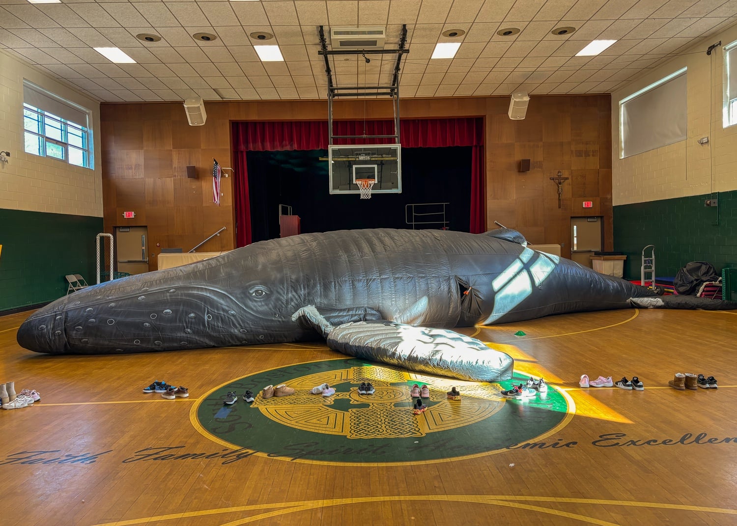 On the floor lay a massive, life-sized, inflatable whale.