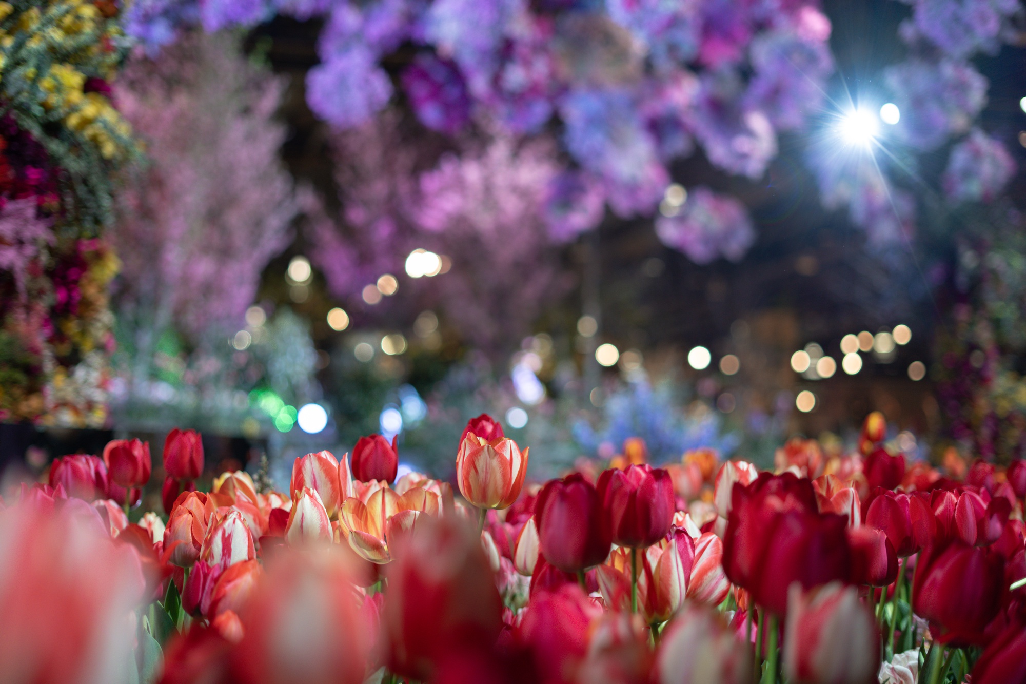 In Photos: Snapshots of Spring Break 2024 | Multimedia | The Harvard ...