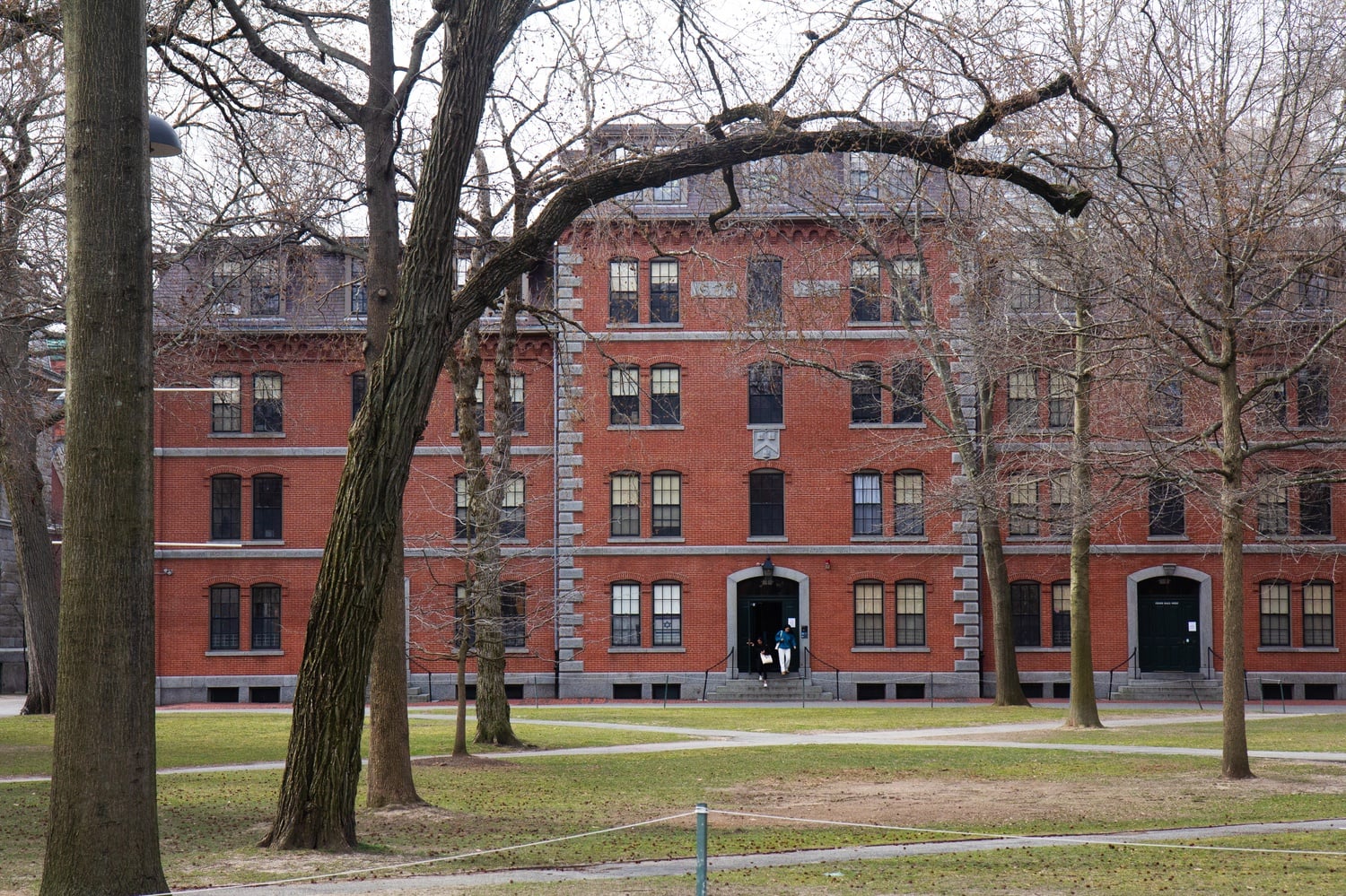 The Harvard College Advising Programs Office will assign incoming freshmen a pre-concentration adviser for their first three semesters of college.