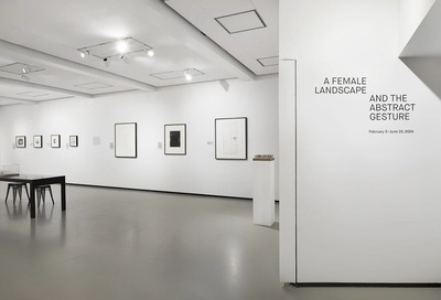 Cover image for Deconstruction and Reconstruction: Chassidy A. Winestock and Maren Hassinger on ‘A Female Landscape and the Abstract Gesture’