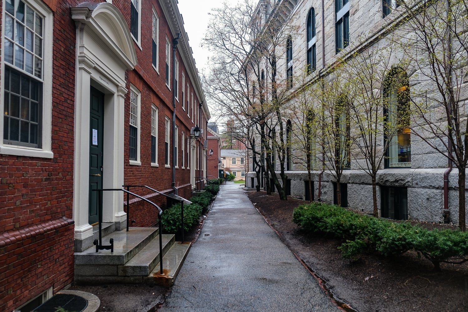The pathway between Wigglesworth Hall, a freshman dormitory, and Boylston Hall, home to Harvard's Women, Gender, and Sexuality Studies committee.