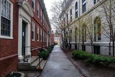 Cover image for A Surprise Tenure Denial in Harvard’s Gender Studies Program Leaves Some Faculty Shaken