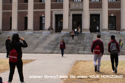 Cover image for Widen-YOUR HORIZONS