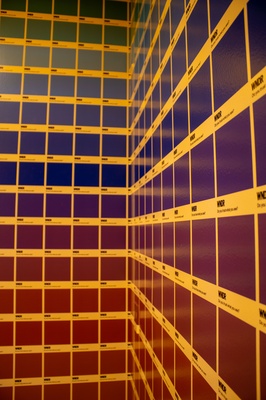 Cover image for Color & Light