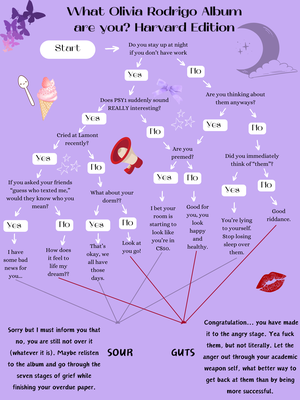 Cover image for What Olivia Rodrigo Album Are You? Harvard Edition
