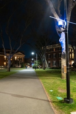 Cover image for Should Harvard Red Light or Green Light the Blue Lights?