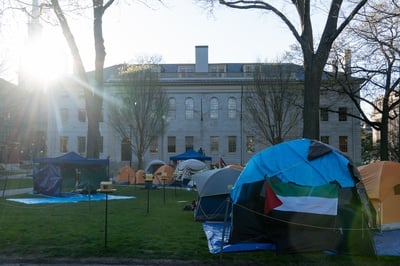 Cover image for Sun Rises Over Harvard Yard Encampment Thursday Morning