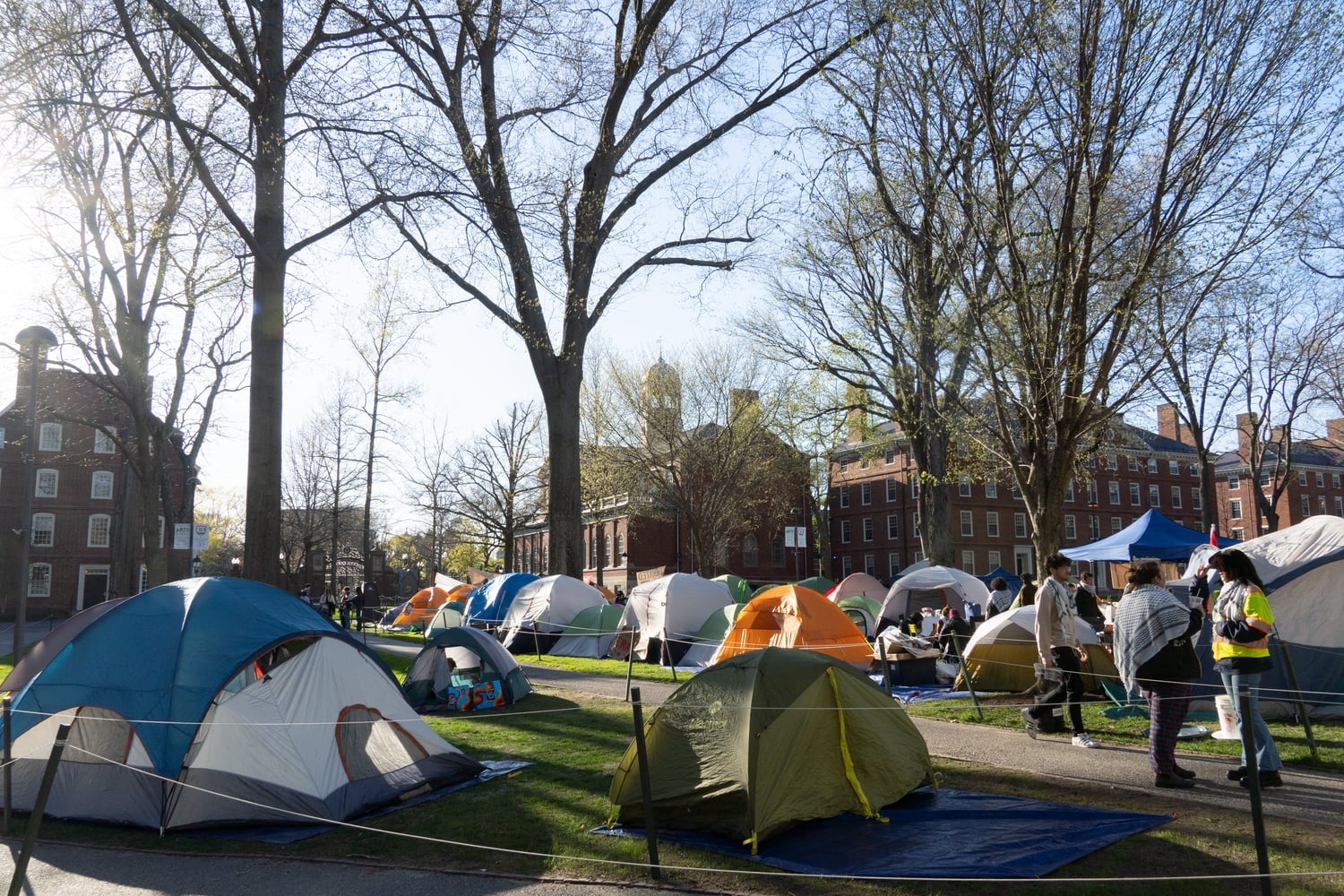 Protesters set up new tents on another, adjacent patch of grass, expanding the encampment.