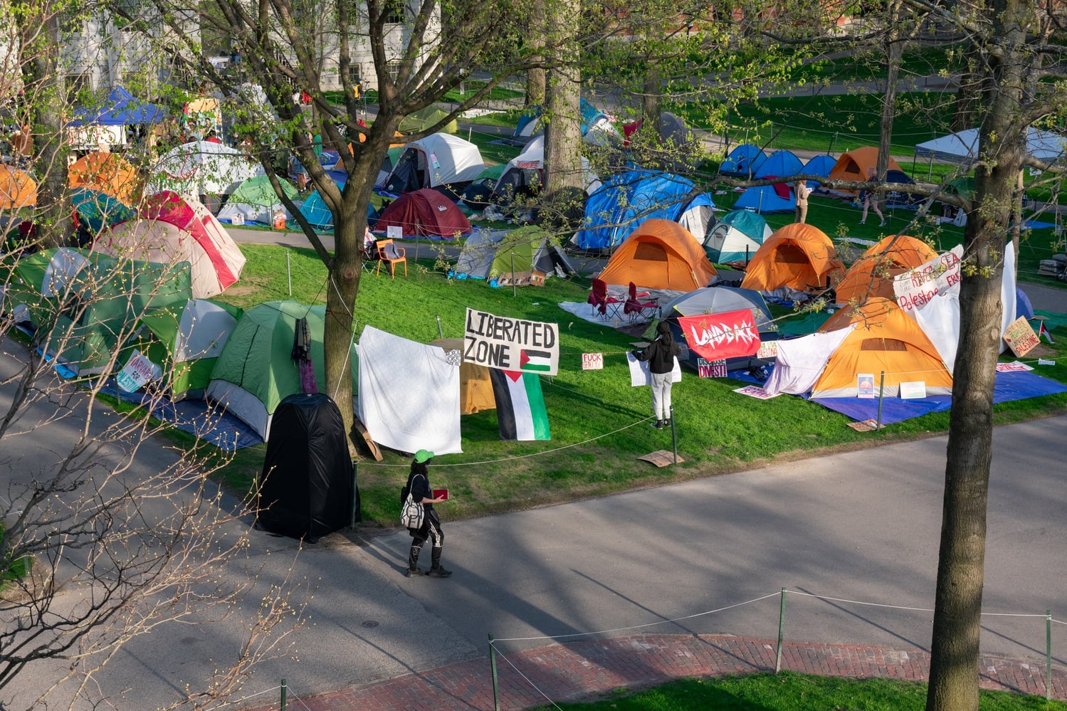 Harvard students have setup tents in Harvard Yard on Monday evening. Harvard Law School's Internation Human Rights Clinic and Human Rights Entrepreneurs Clinic signed a joint statement calling on universities to protect free speech.