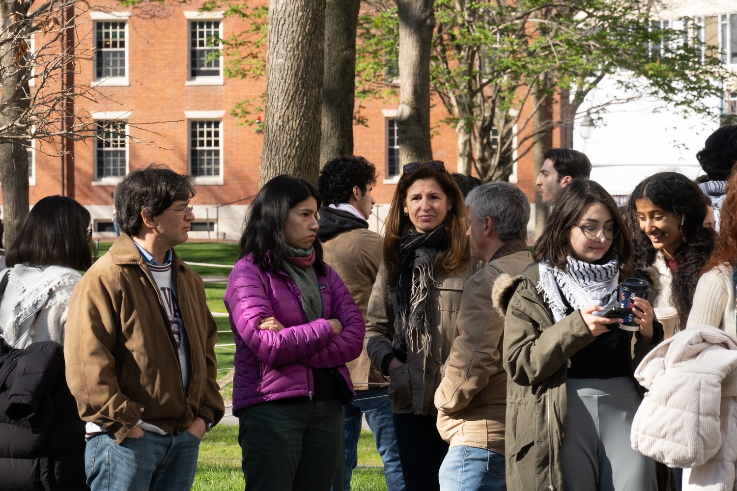 Several Harvard faculty members stand together, observing the ongoing encampment in Harvard Yard.