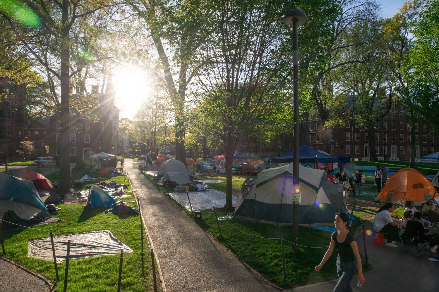 The decision to grant the degrees marks a dramatic reversal from the University's initial decision to prevent the seniors from graduating at Commencement.