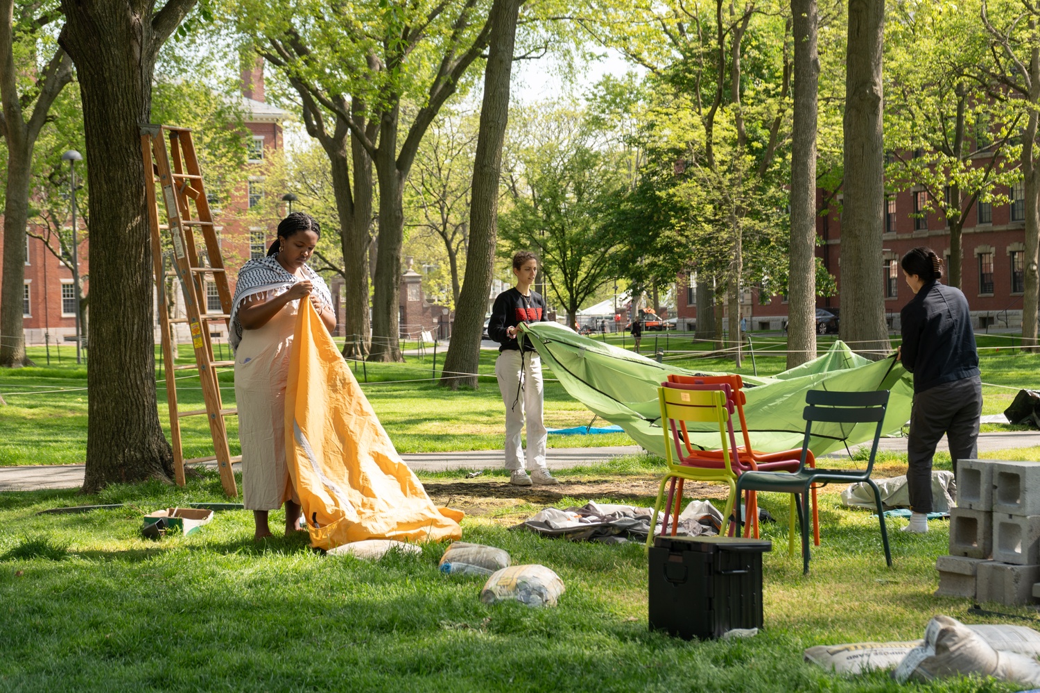 Students dismantle the Harvard Yard encampment on May 14.