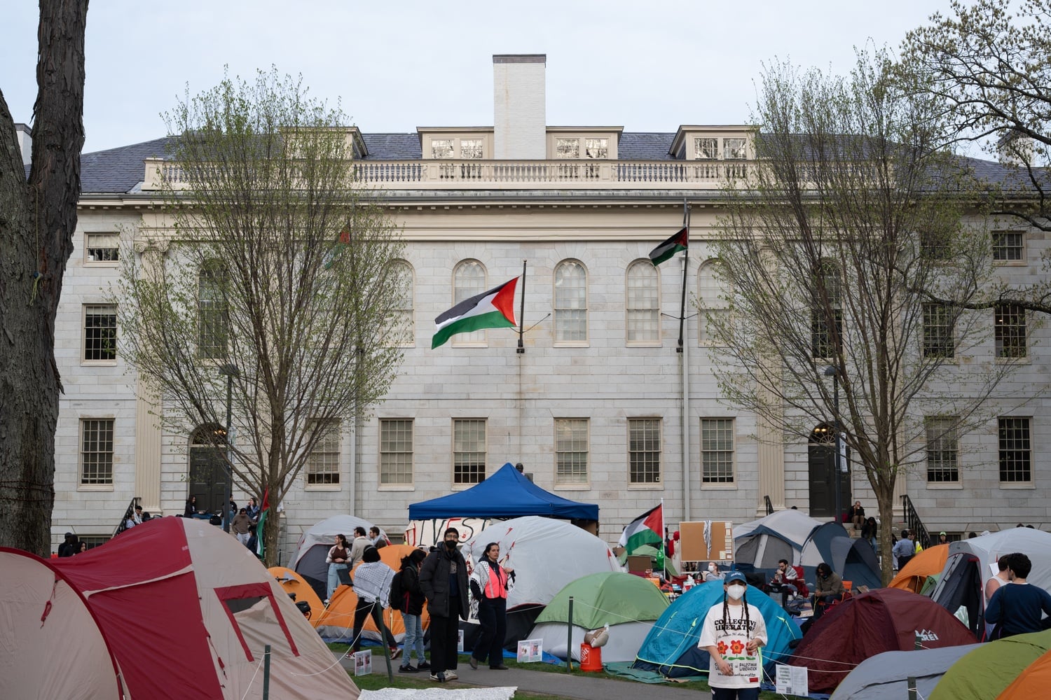 Three Palestinian flags fly over University Hall during the spring 2024 pro-Palestine encampment. President Donald Trump is expected to sign an executive order on Wednesday instructing federal agencies to identify and deport international students who broke laws while participating in pro-Palestine protests.