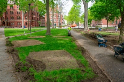 Cover image for GSAS Denies Reconsideration Requests From Students Disciplined Over Encampment Involvement