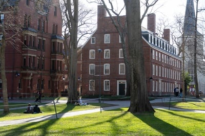 Cover image for As Universities Eliminate DEI Programming, Harvard Stays Its Course