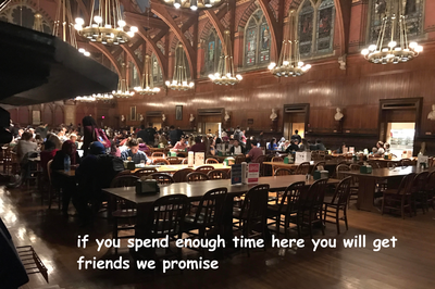 Cover image for How To: Maximize Your Harvard Freshman Year