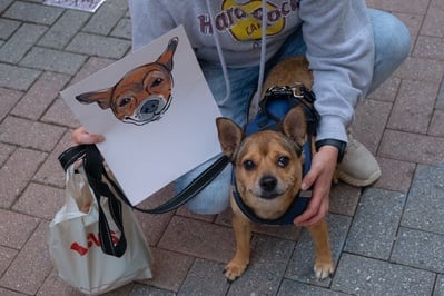 Cover image for Spencer the Dog with Portrait