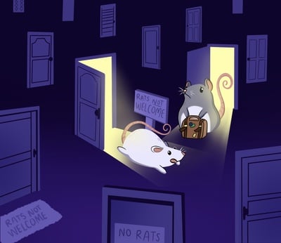 Cover image for Anti-Rat Measures Graphic
