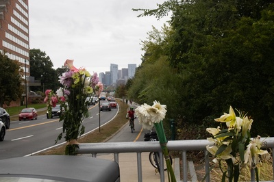 Cover image for Flowers at Intersection