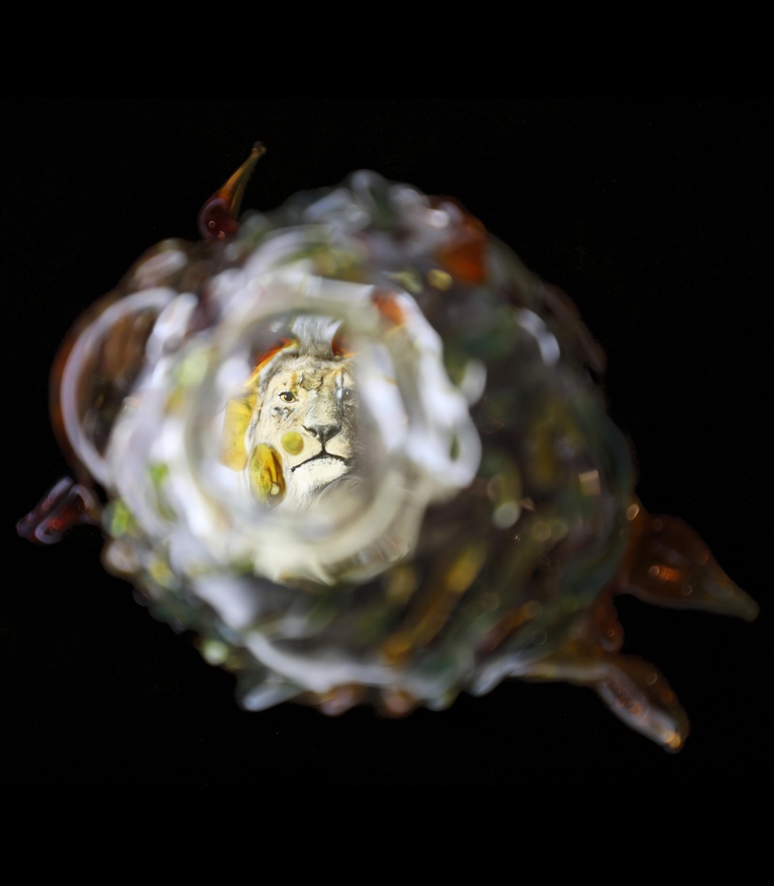 Photograph of a glass lantern slide taken through one of artist's hand-blown glass objects.