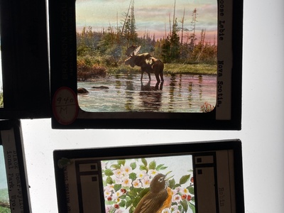 Cover image for Lantern Slides