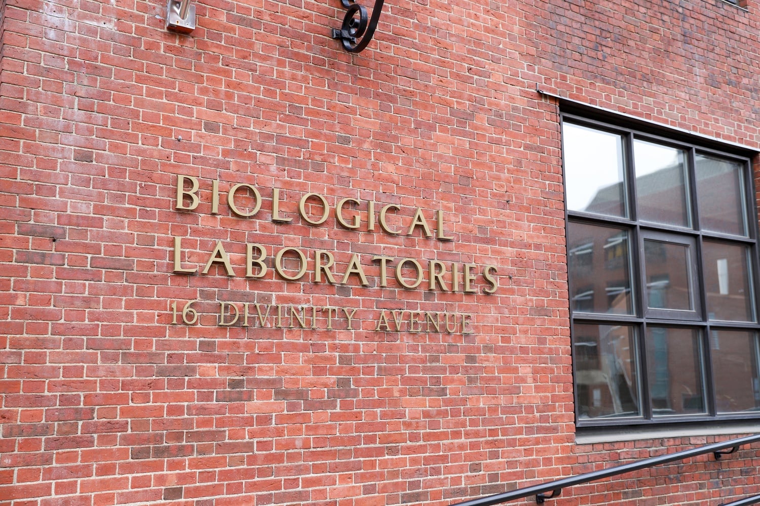 The Biological Laboratories are located at 16 Divinity Ave in Cambridge, Massachusetts.