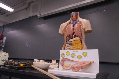 Cover image for Broken Tools, Missing Chairs: Harvard Undersupports Underrepresented Kids in STEM