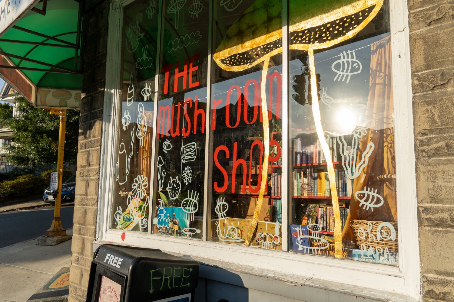 In Photos: Fungi Finds at Somerville's Mushroom Shop | The Harvard