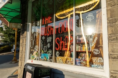 Cover image for In Photos: Fungi Finds at Somerville’s Mushroom Shop