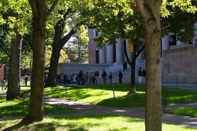 Cover image for Harvard Senior Aims to ‘Demystify’ The Ballot with New Voter Resource