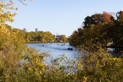 Cover image for Head of the Charles River Through Foliage