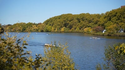 Cover image for In Photos: The 59th Head of the Charles Regatta