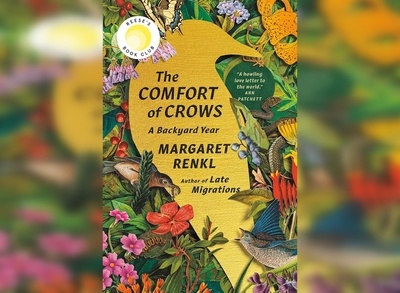 Cover image for ‘The Comfort of Crows’ Review: Masterfully Reintroducing the World as We Know It