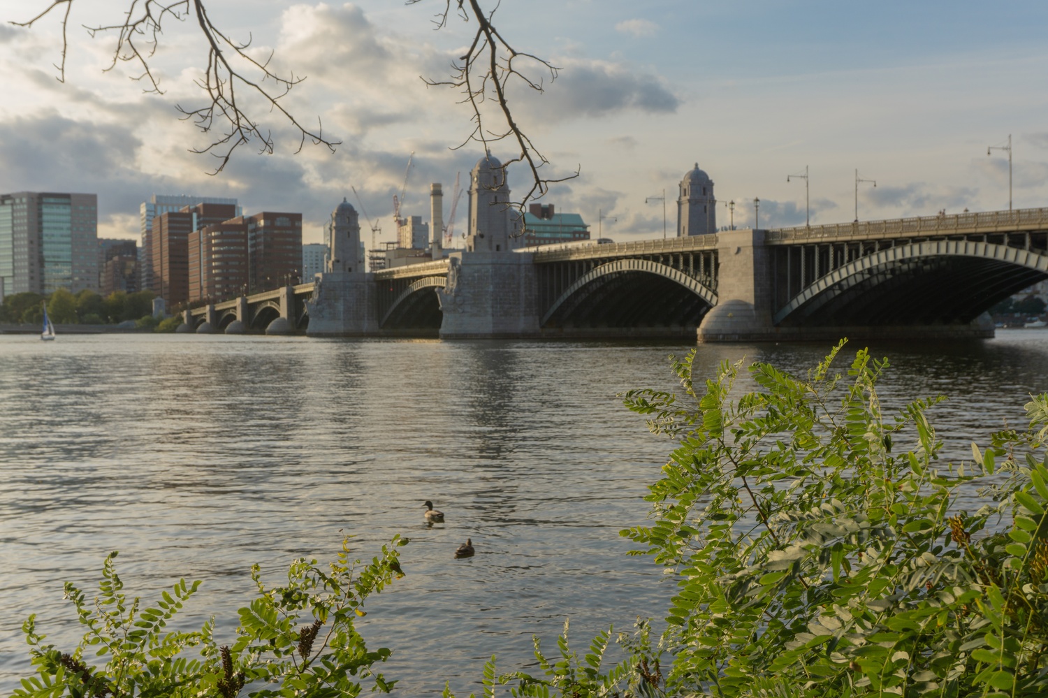 As Boston evolves as a city and the diversity of its neighborhoods and the people within each of them increases, its food scene evolves with it.