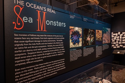 Cover image for “Sea Monsters” Exhibit Blurs Border Between Monster and Human