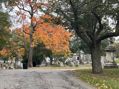 Cover image for Geocaching Cemetery