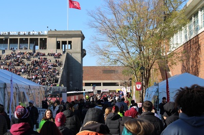 Cover image for Haphazard Harvard and the Terrible Tailgate Troubles
