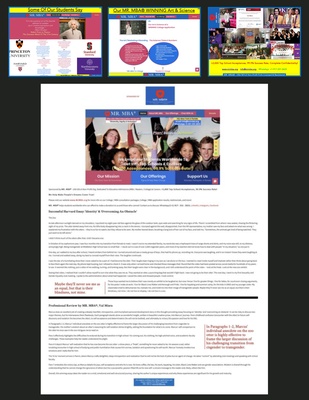 Cover image for Mr. MBA Image 14