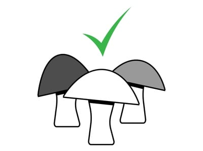 Cover image for Ballot Question Four Graphic
