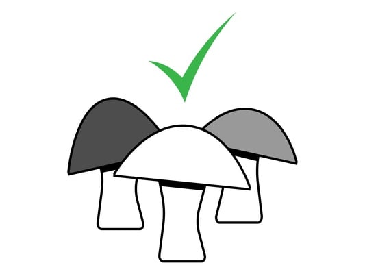 Cover image for Don’t Trip. Vote ‘Yes’ on Ballot Question 4.