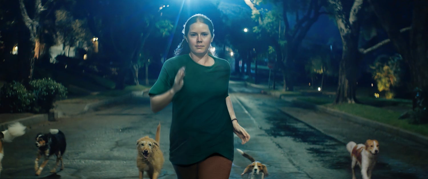 Amy Adams stars in "Nightbitch"