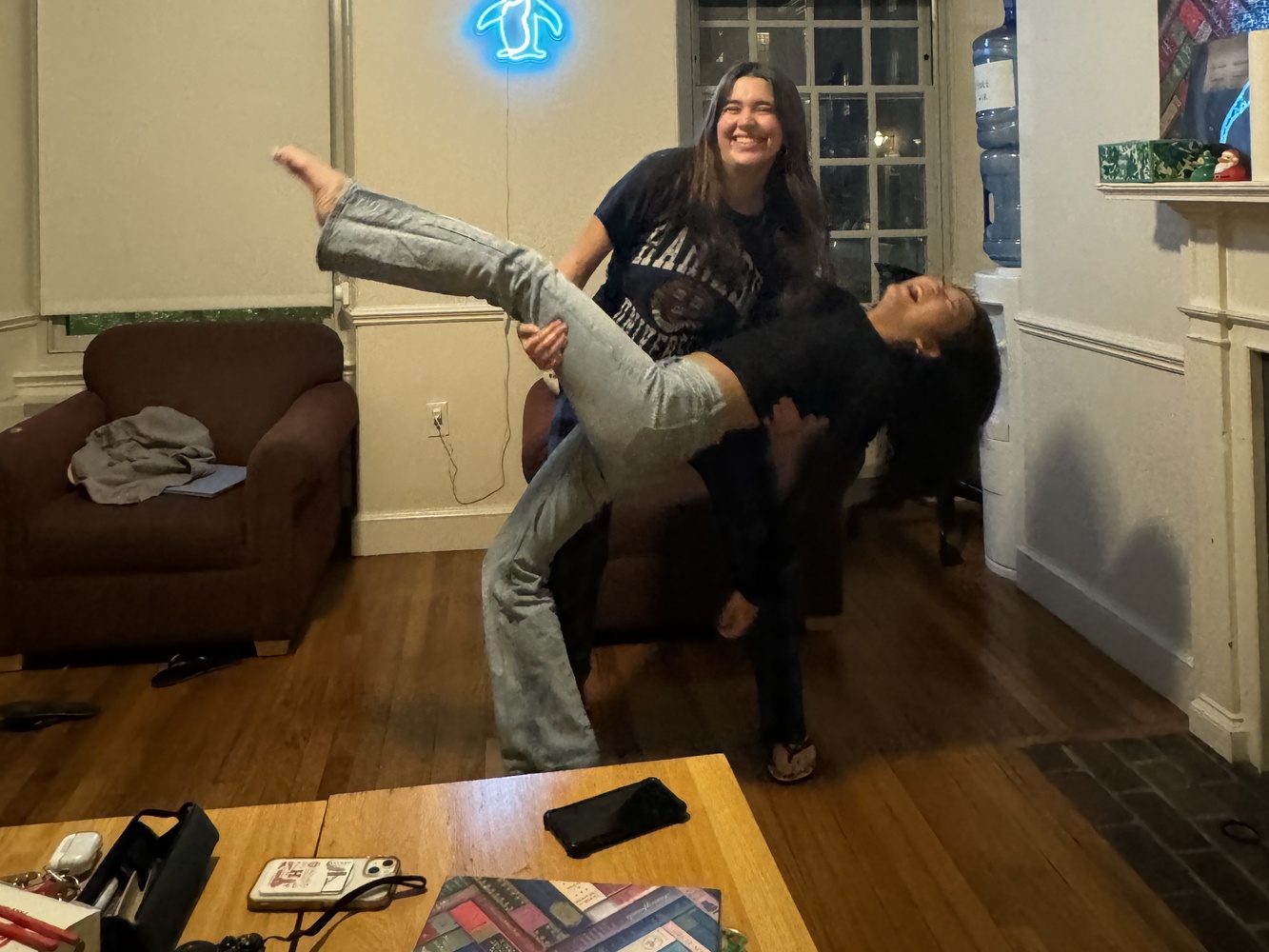 Harvard DWTS: The Dip