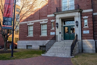 Cover image for Harvard Denied Its Only Yiddish Professor Tenure. Did the Process Fail Him?